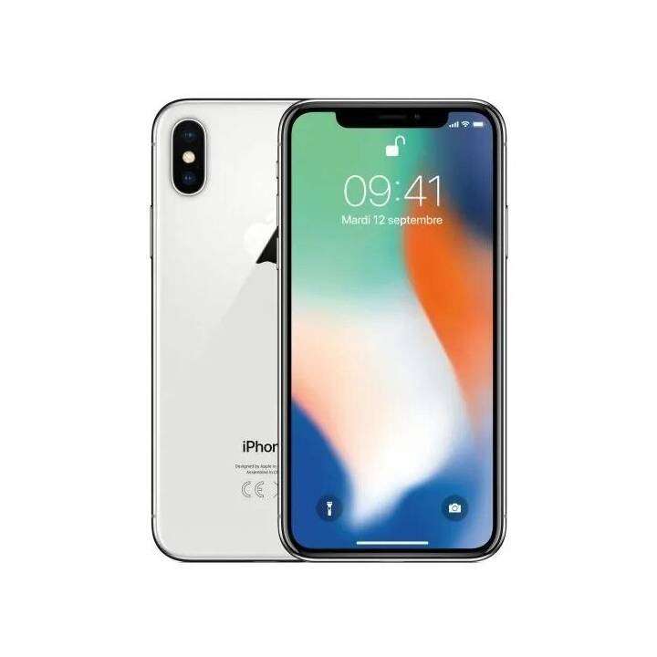 iPhone X 256 GB online kaufen | iElectro.ch