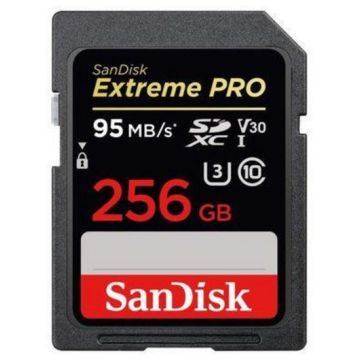 SANDISK Extreme Pro SDXC, UHS-I V30, Class 10, 256GB (SDSDXXG-256G-GN4IN)